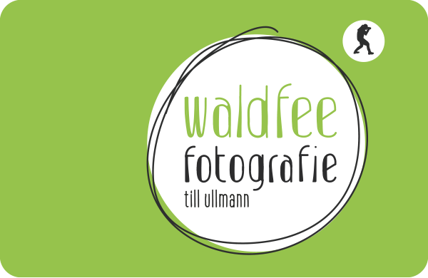 Waldfee Fotografie Logo